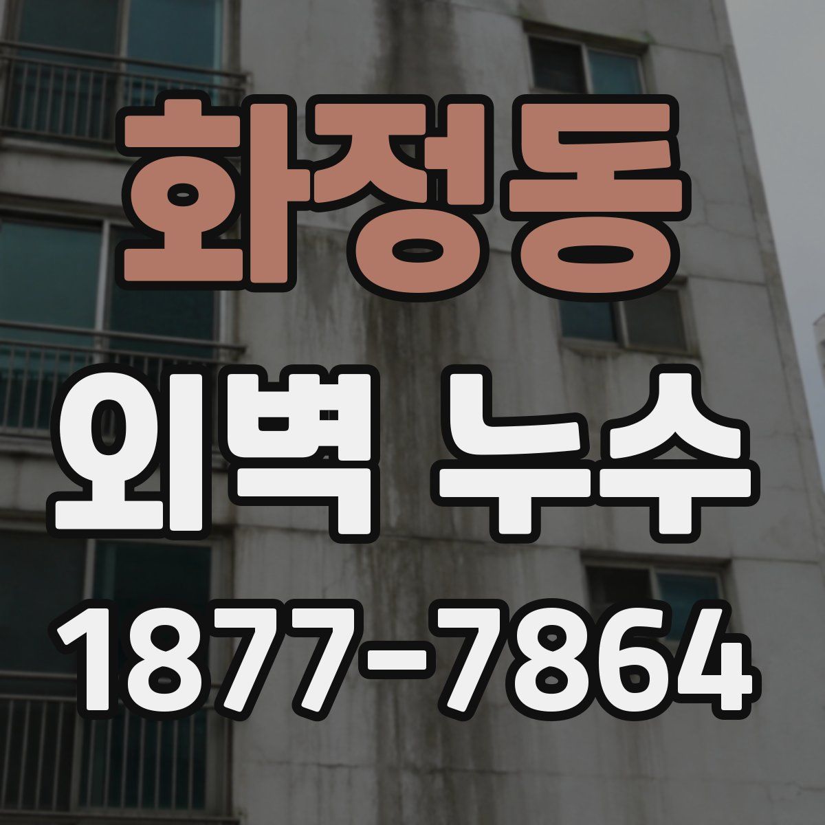 화정동 외벽 누수