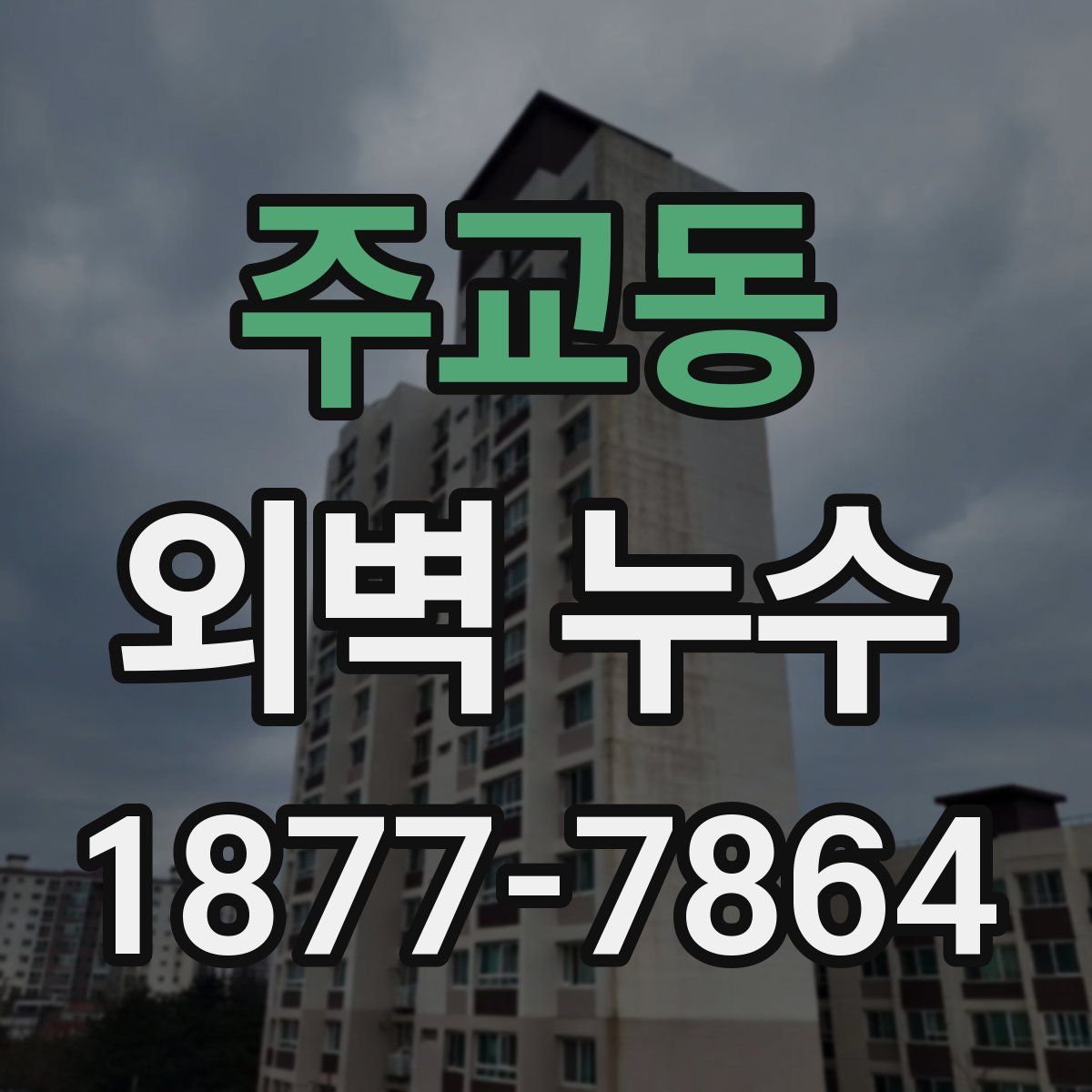 주교동 외벽 누수
