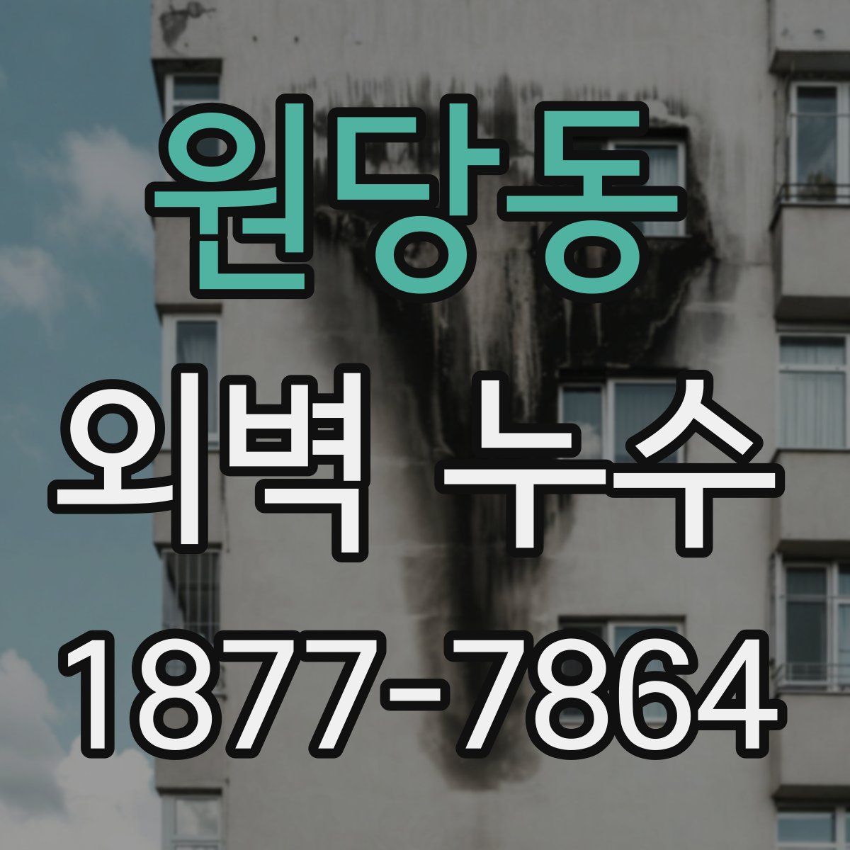 원당동 외벽 누수