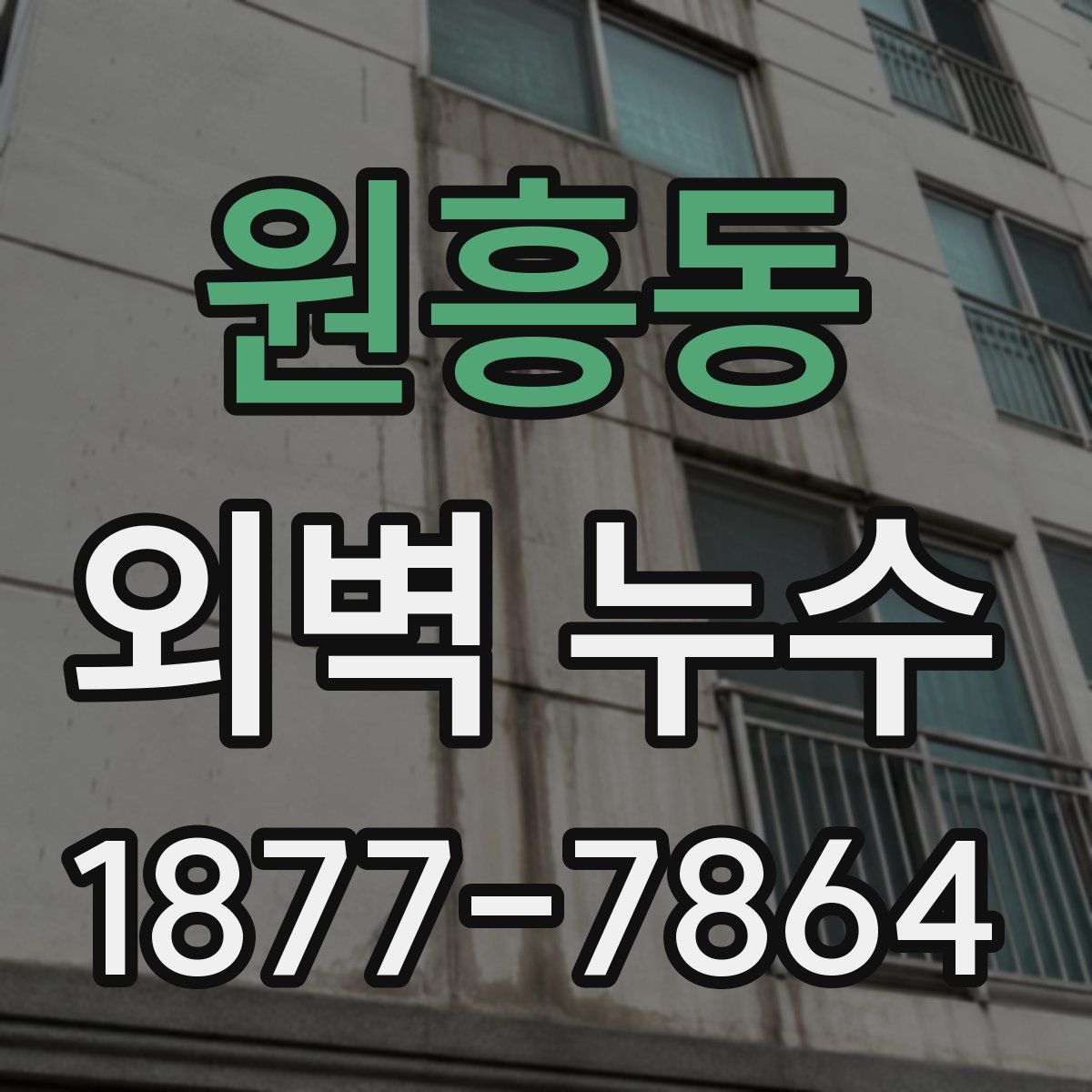 원흥동 외벽 누수
