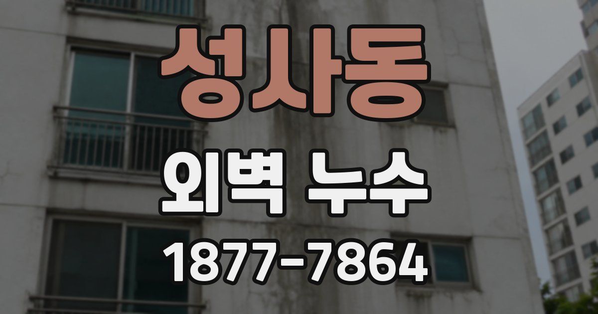 성사동 외벽 누수
