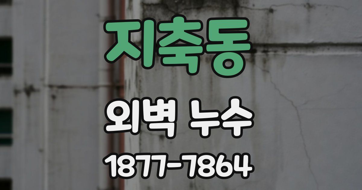지축동 외벽 누수