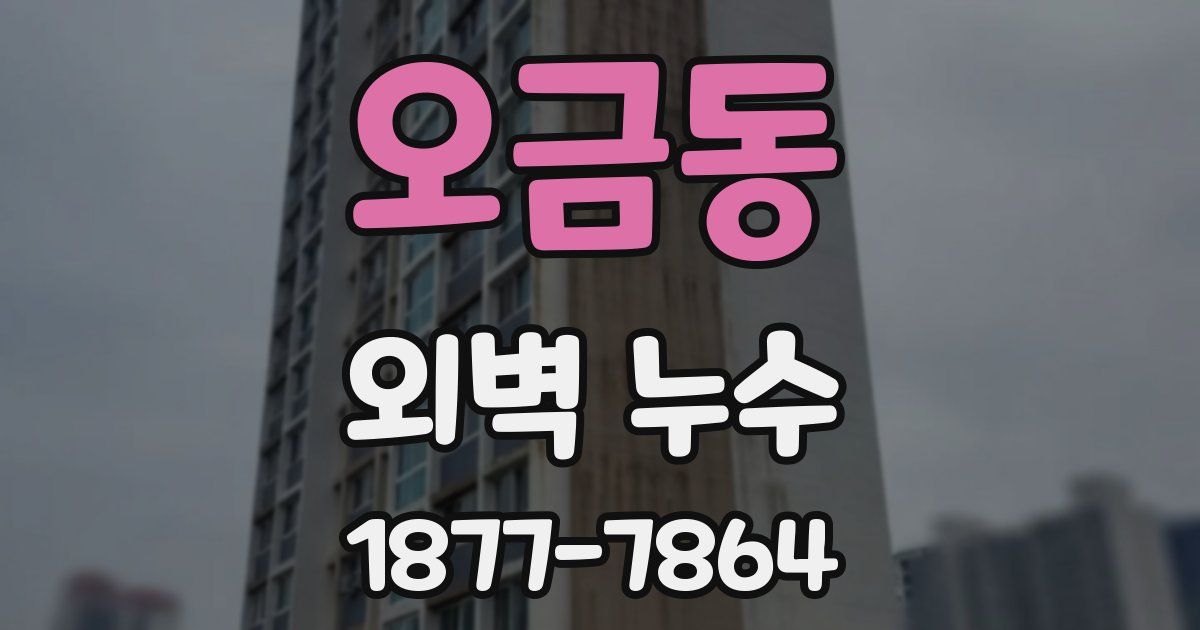 오금동 외벽 누수