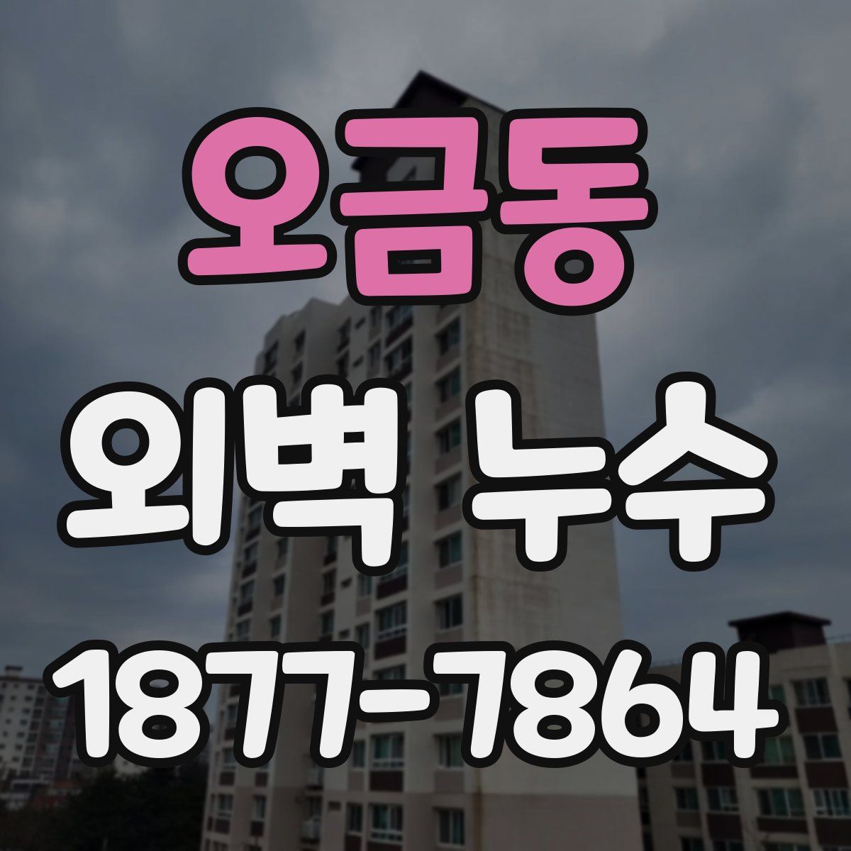 오금동 외벽 누수