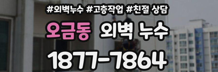 오금동 외벽 누수