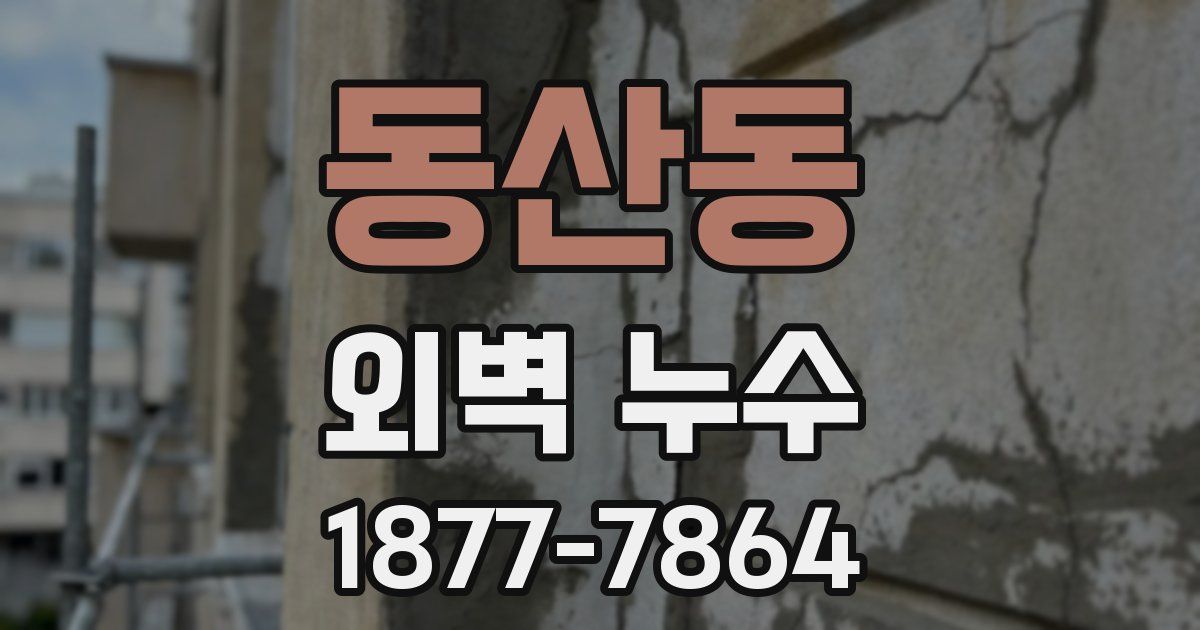 동산동 외벽 누수