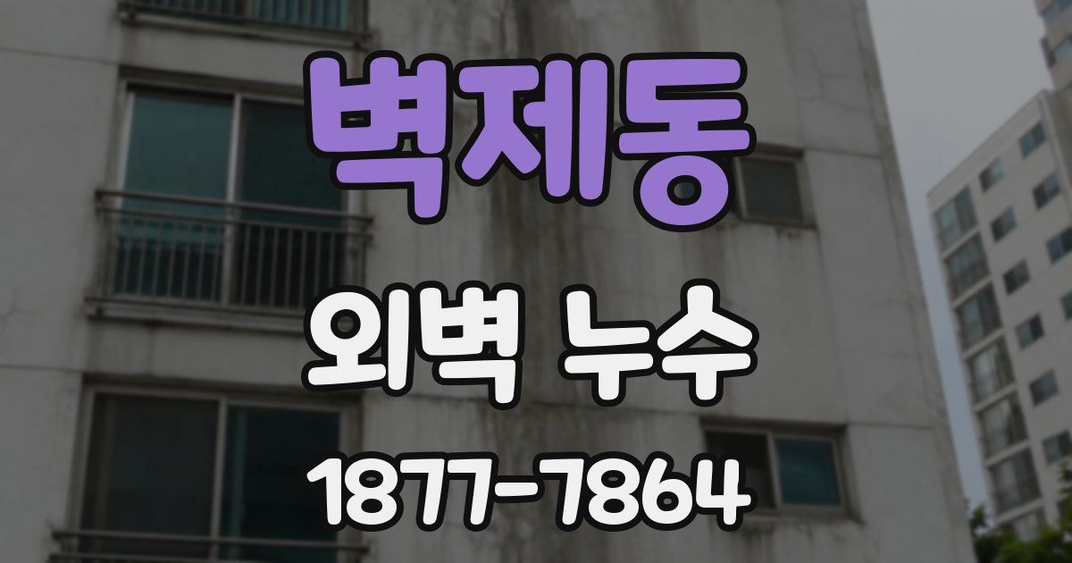 벽제동 외벽 누수