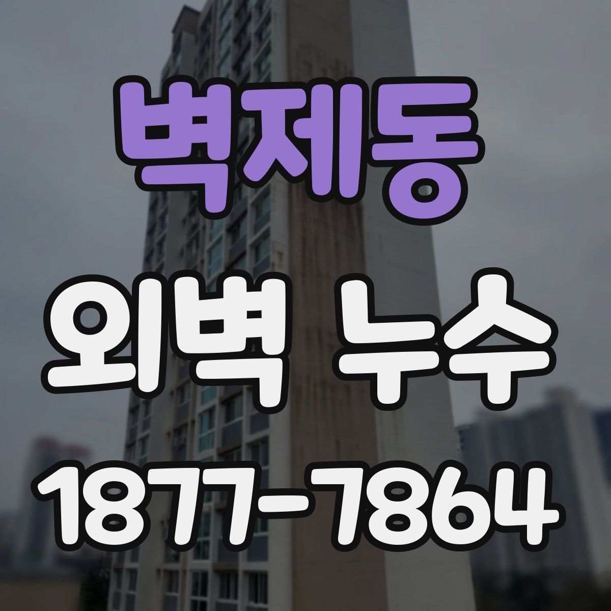 벽제동 외벽 누수
