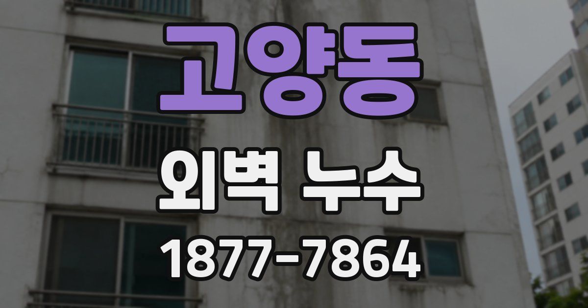 고양동 외벽 누수