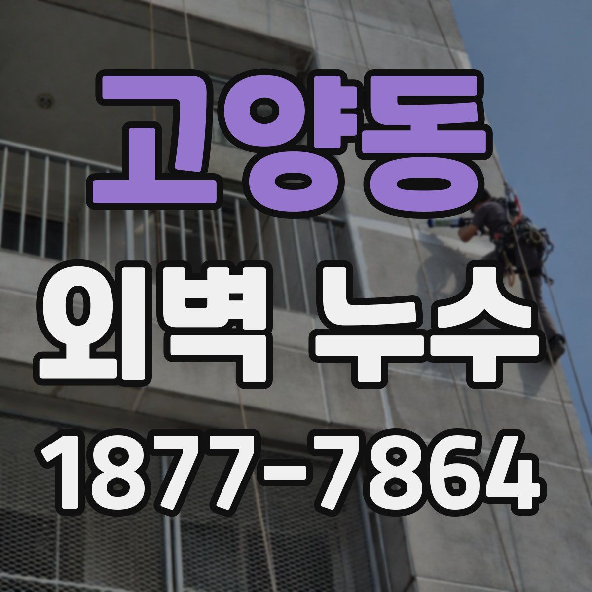 고양동 외벽 누수