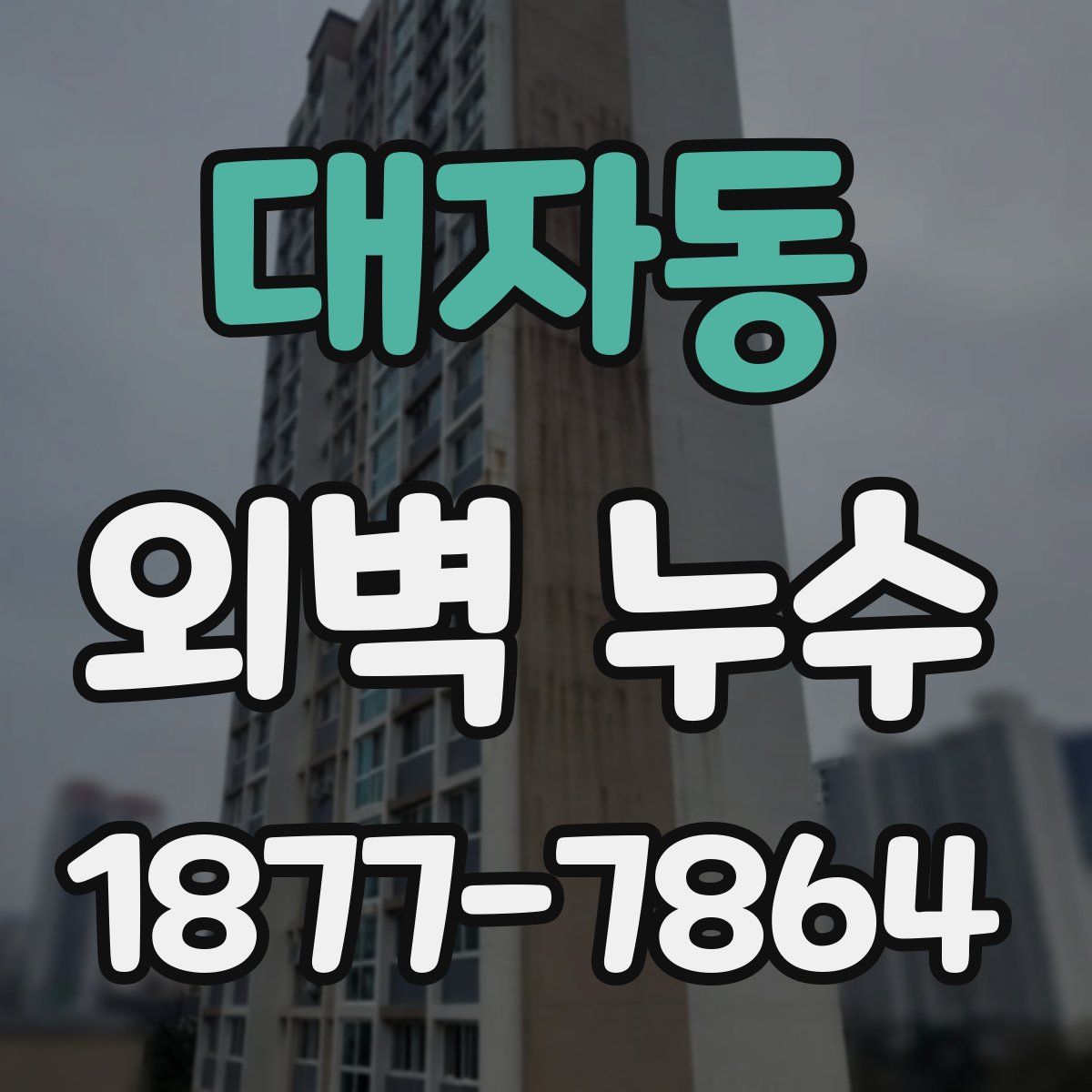 대자동 외벽 누수