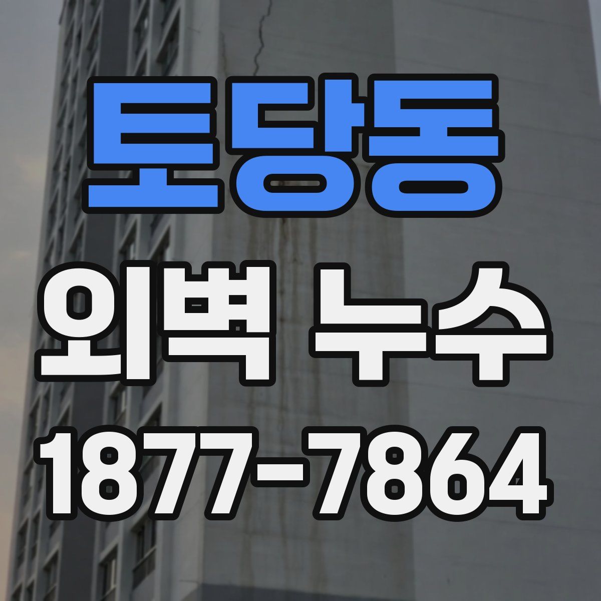 토당동 외벽 누수