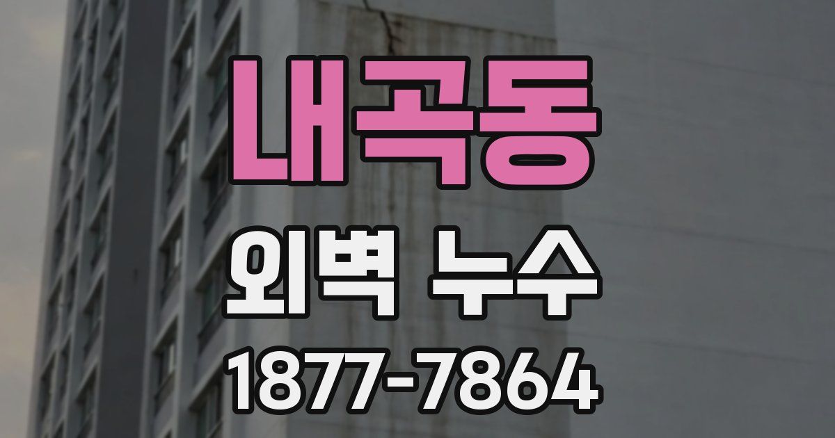 내곡동 외벽 누수
