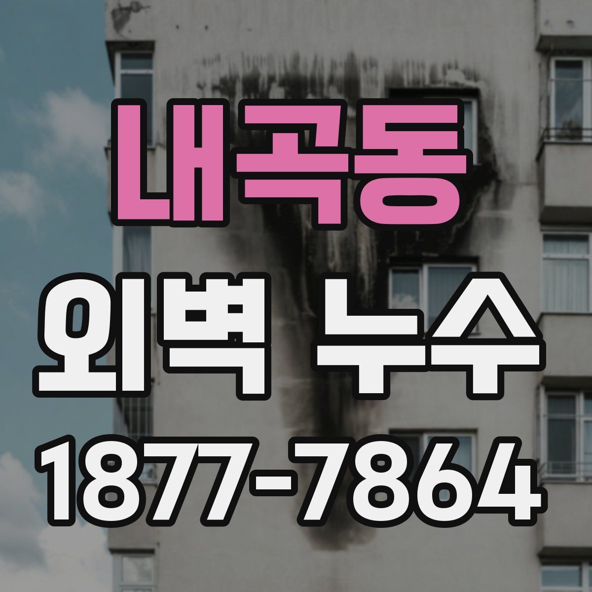내곡동 외벽 누수