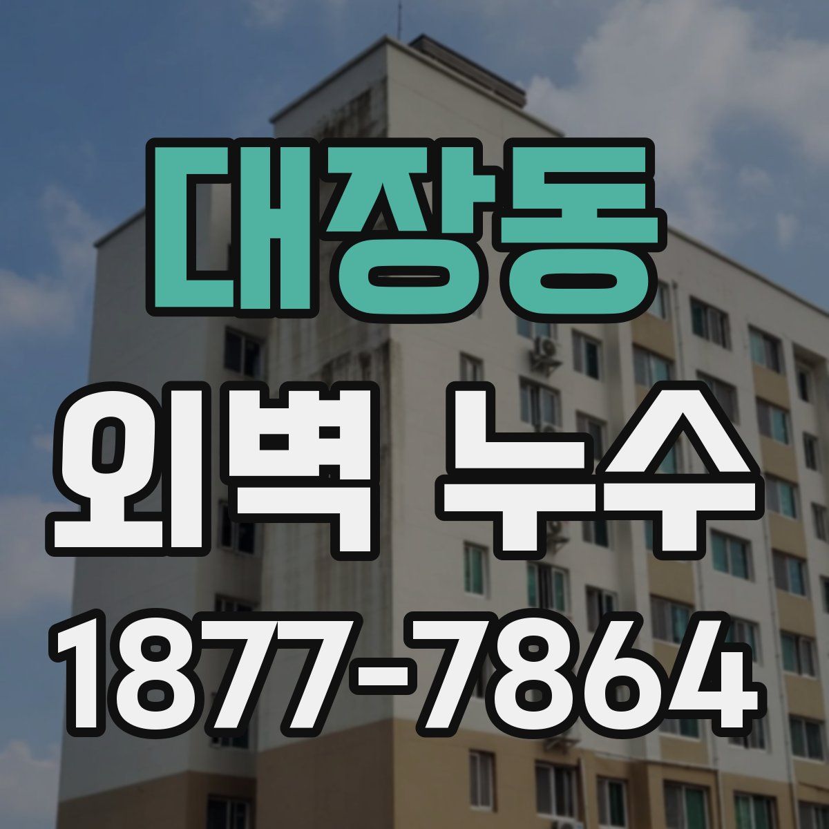 대장동 외벽 누수