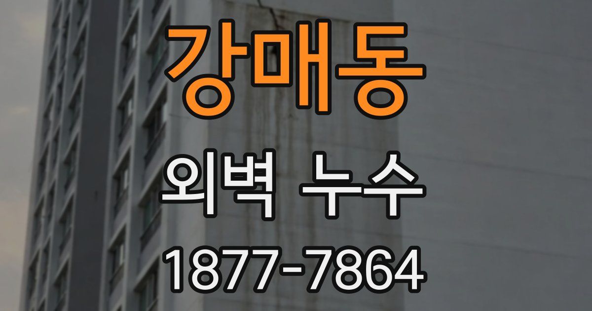 강매동 외벽 누수