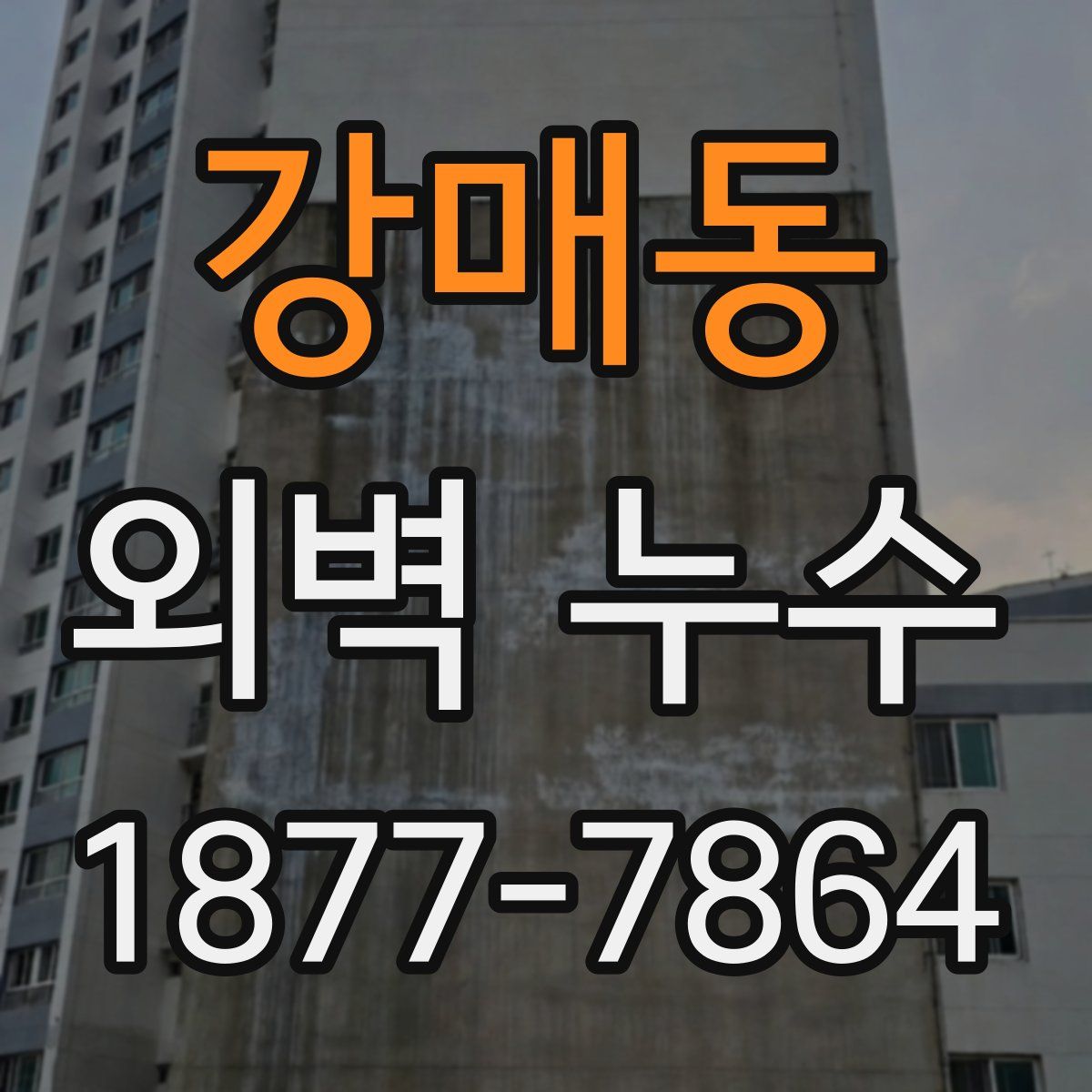 강매동 외벽 누수