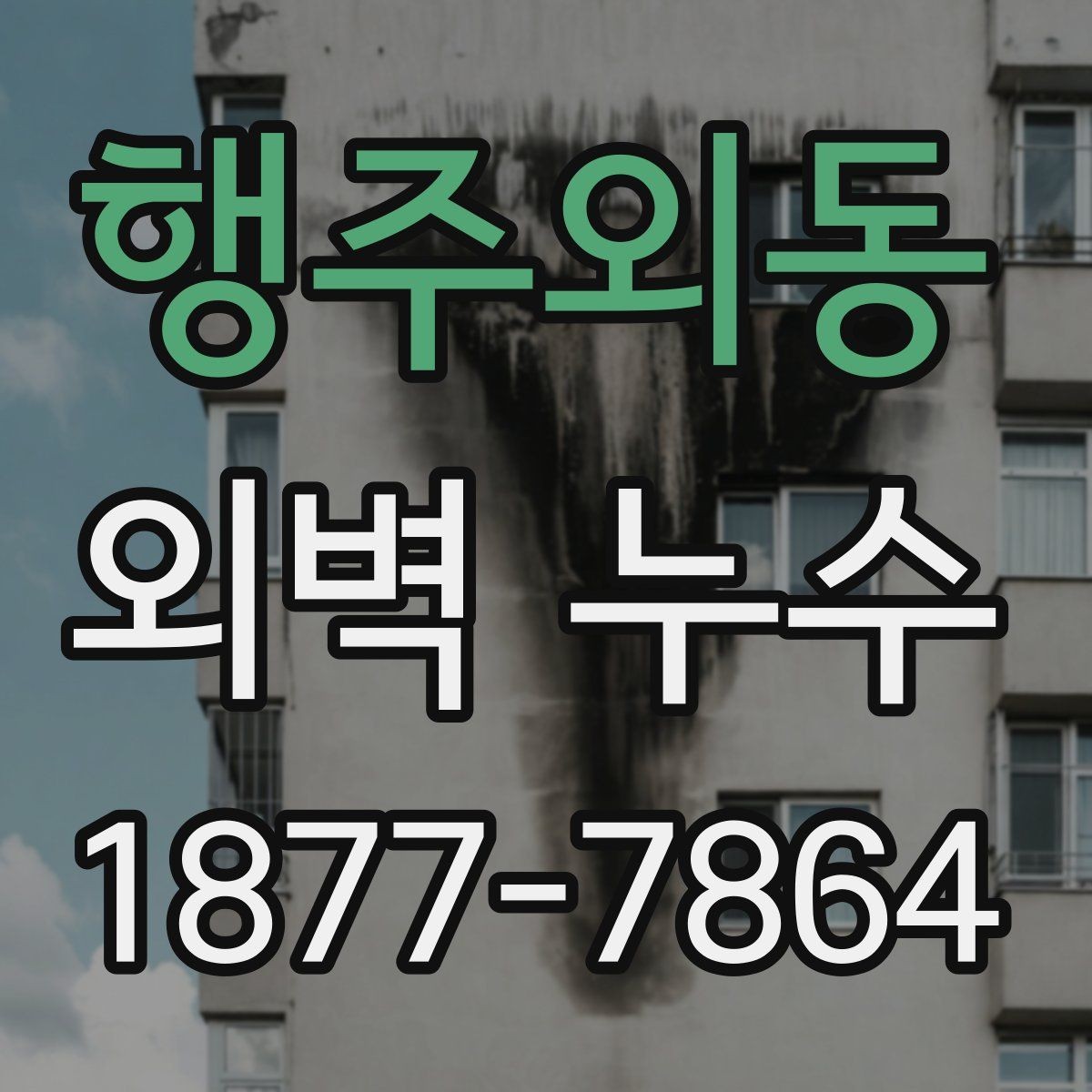 행주외동 외벽 누수 수리 전후 비교해야 할 점