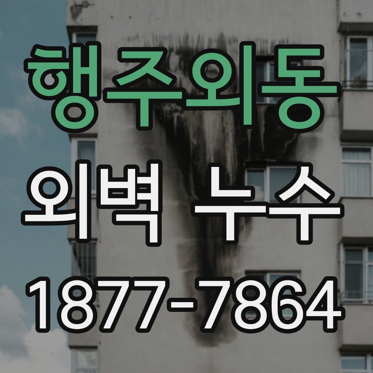 행주외동 외벽 누수