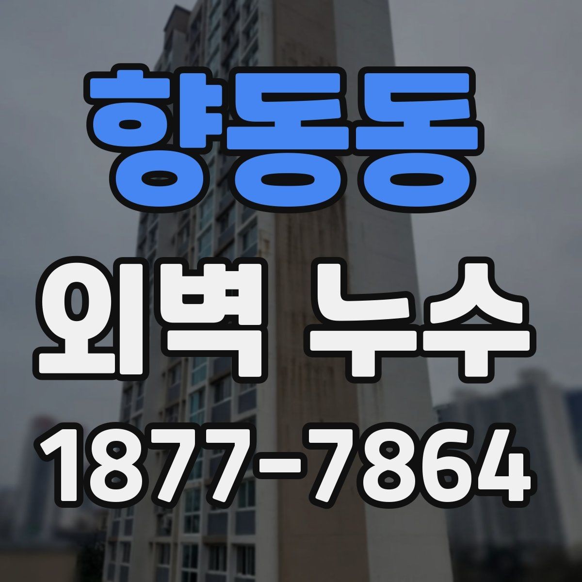 향동동 외벽 누수 보수 전 확인하는 하자 흔적