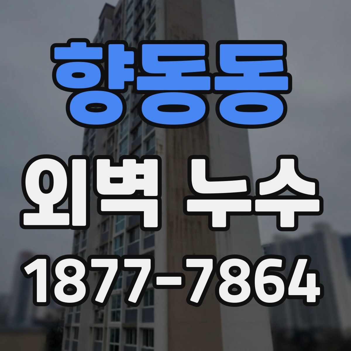 향동동 외벽 누수