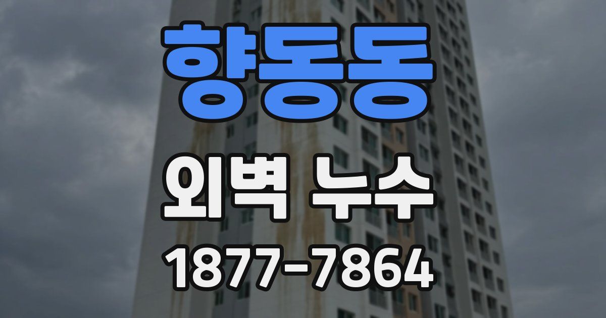 향동동 외벽 누수