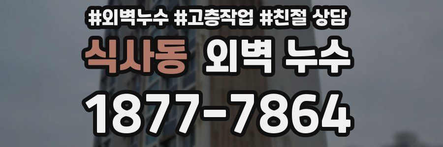 식사동 외벽 누수