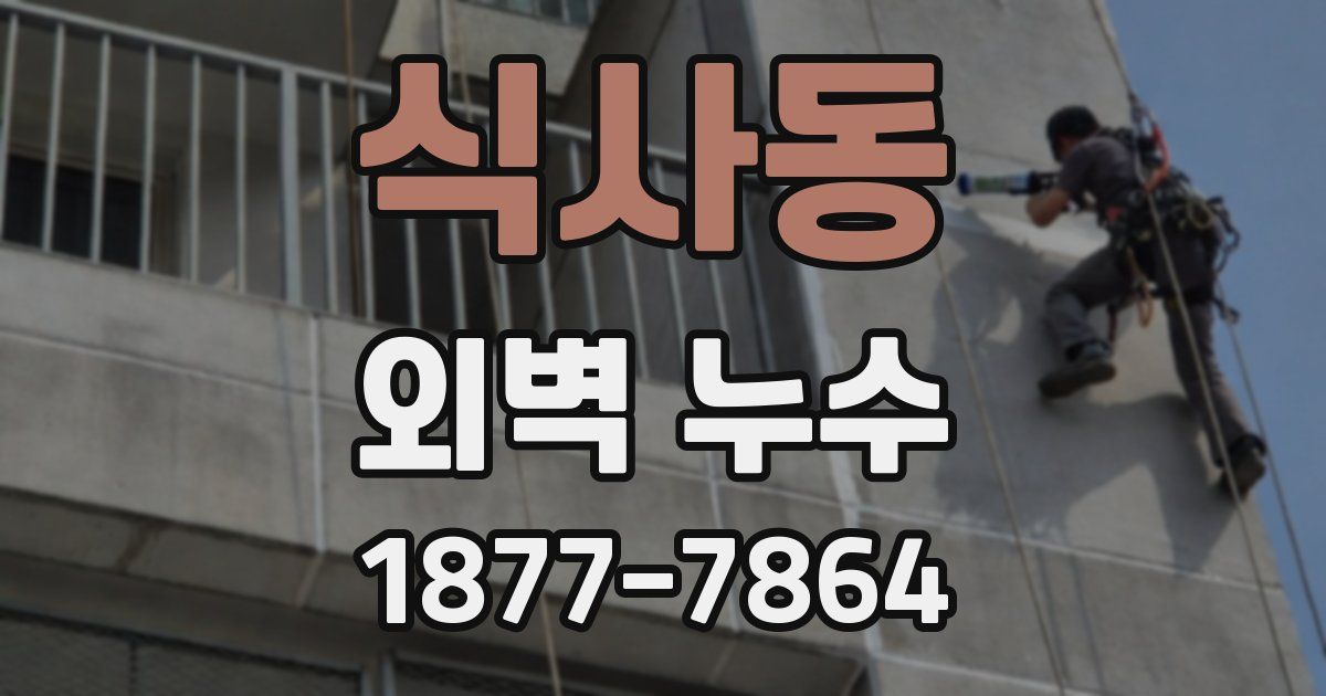 식사동 외벽 누수