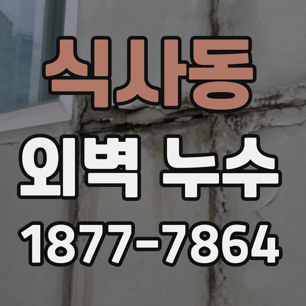 식사동 외벽 누수