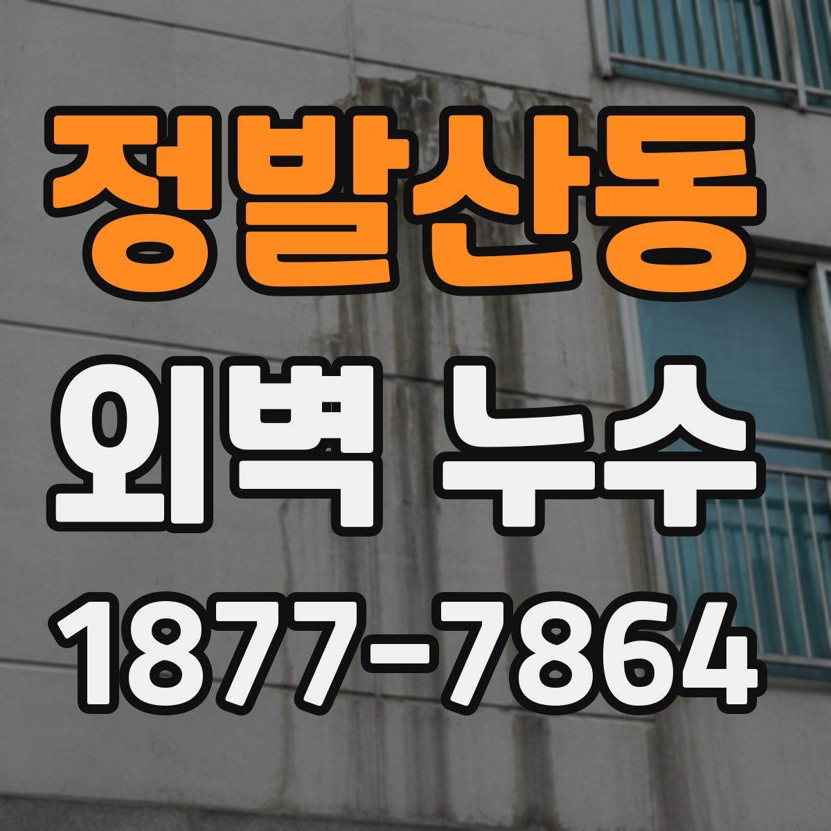 정발산동 외벽 누수