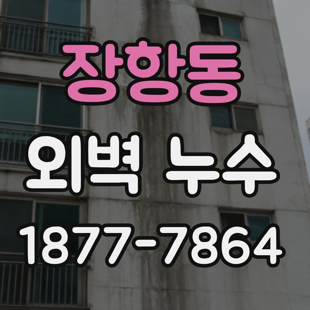 장항동 외벽 누수 발생 시 실내 피해 대응법