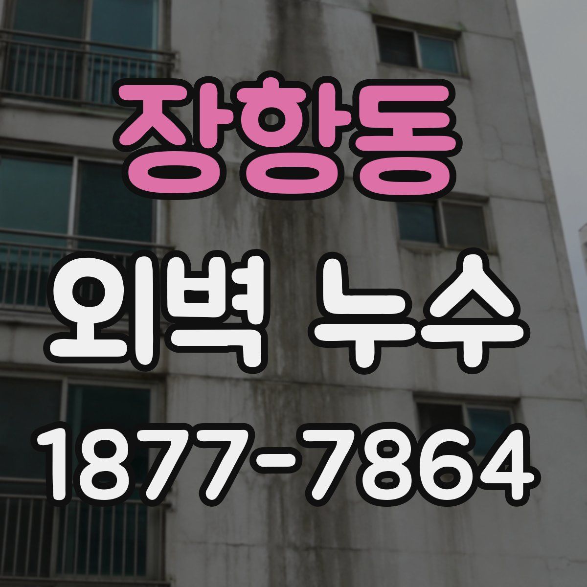 장항동 외벽 누수