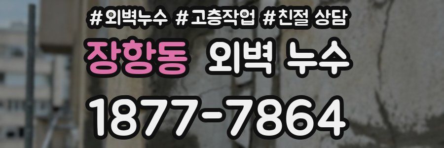 장항동 외벽 누수