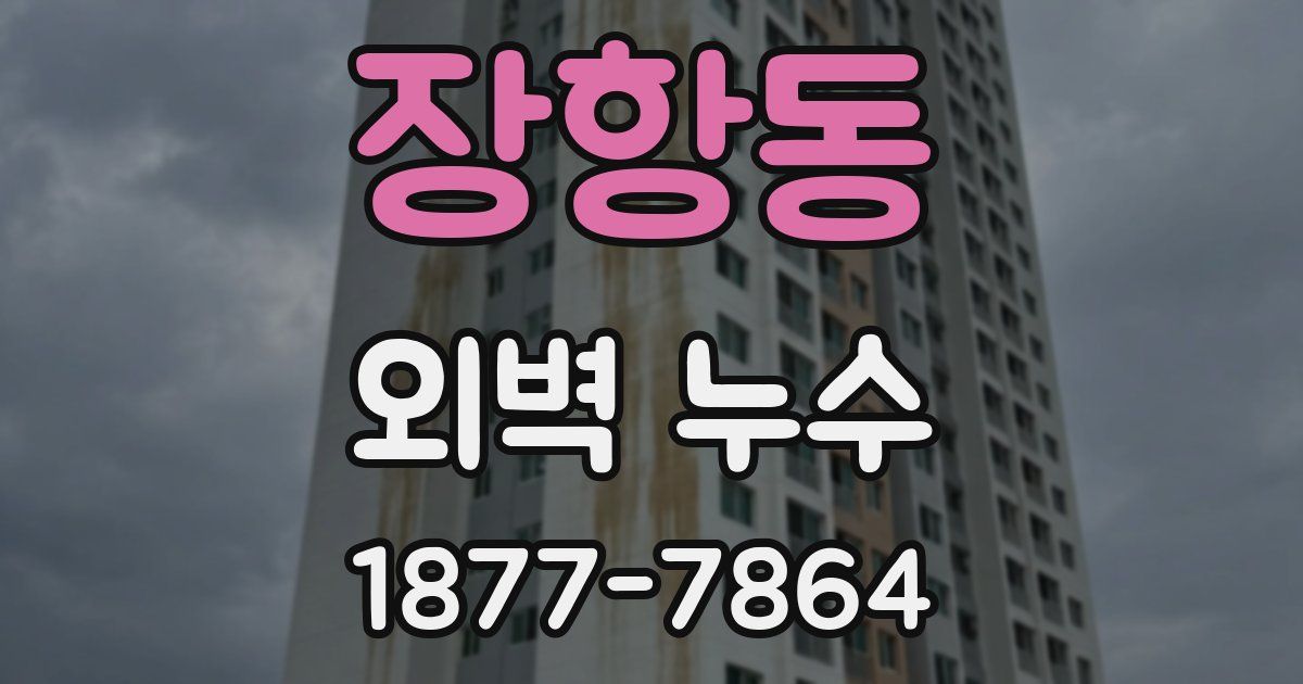 장항동 외벽 누수