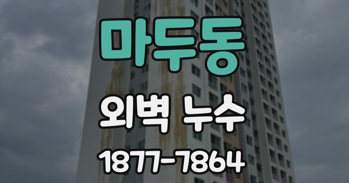 마두동 외벽 누수