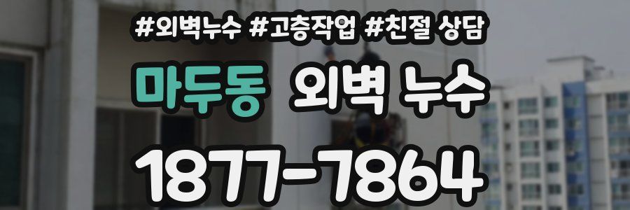 마두동 외벽 누수