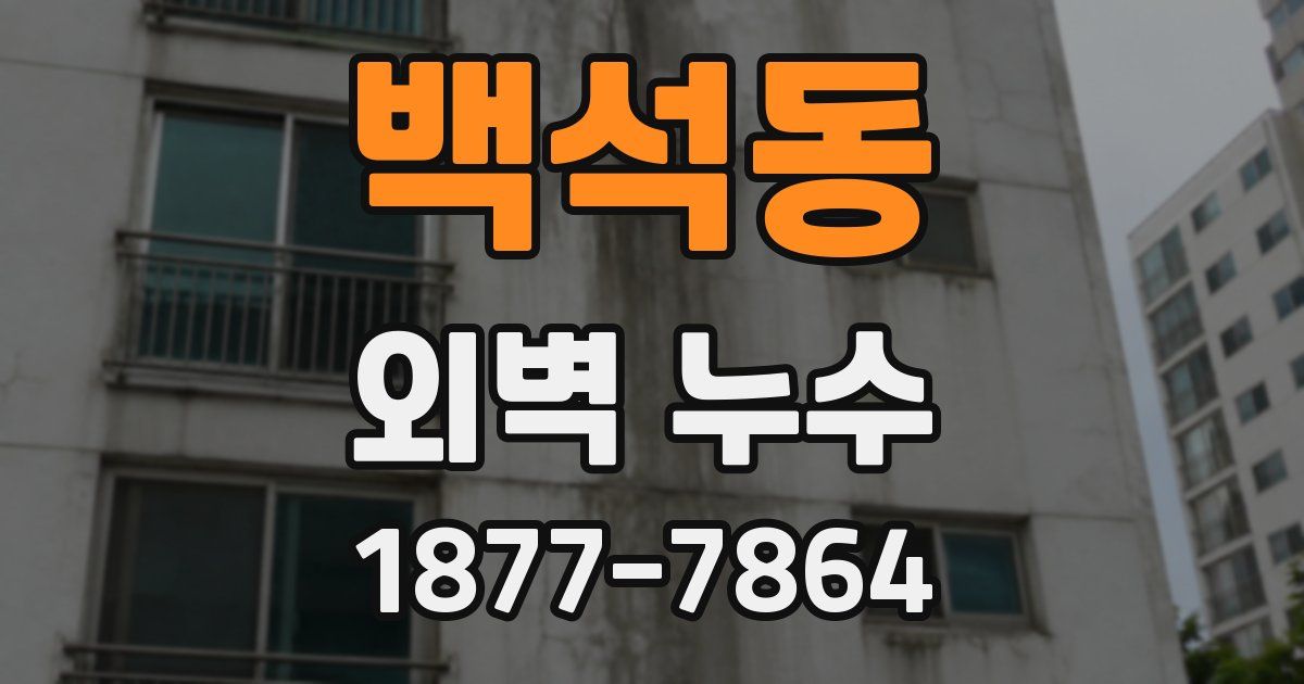 백석동 외벽 누수