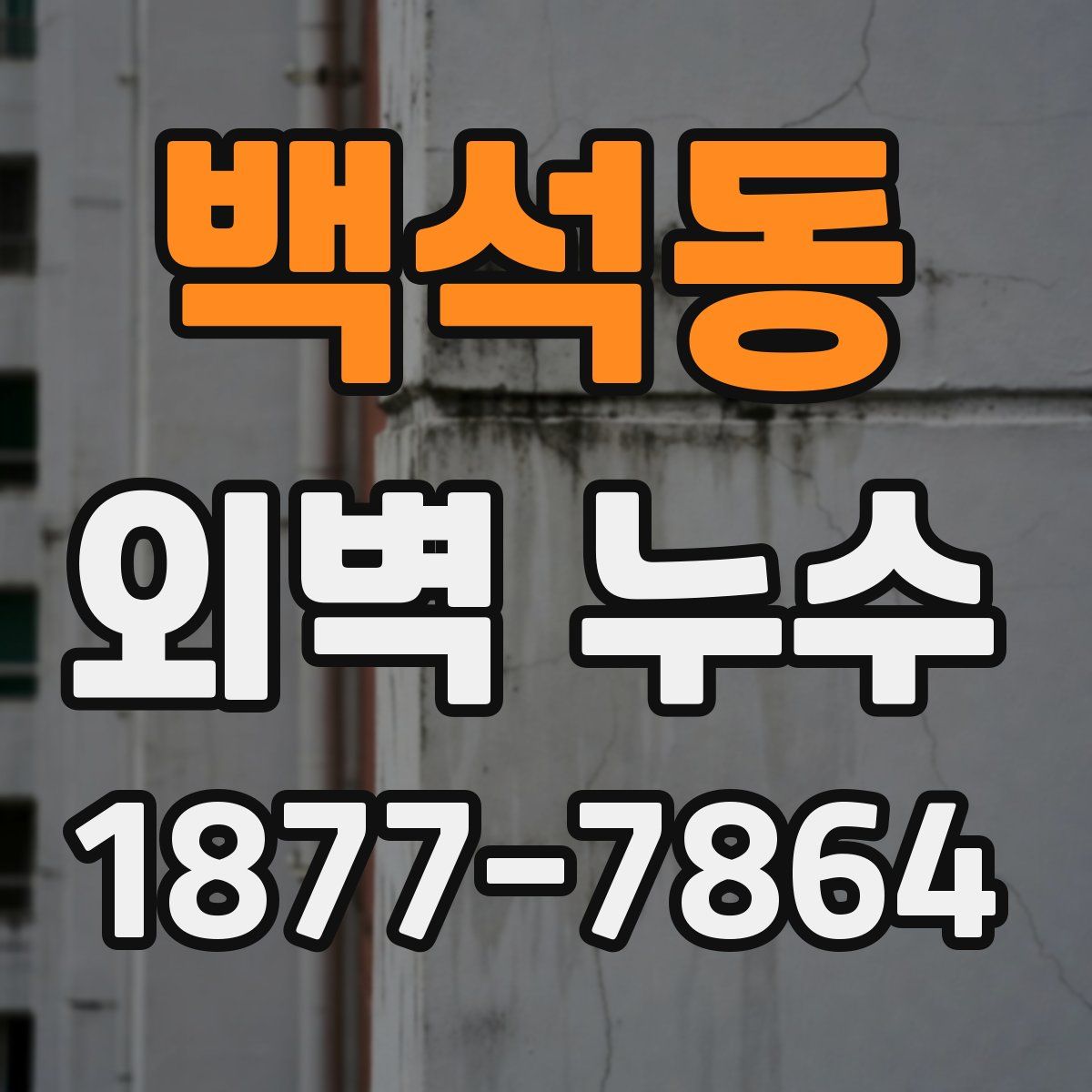 백석동 외벽 누수