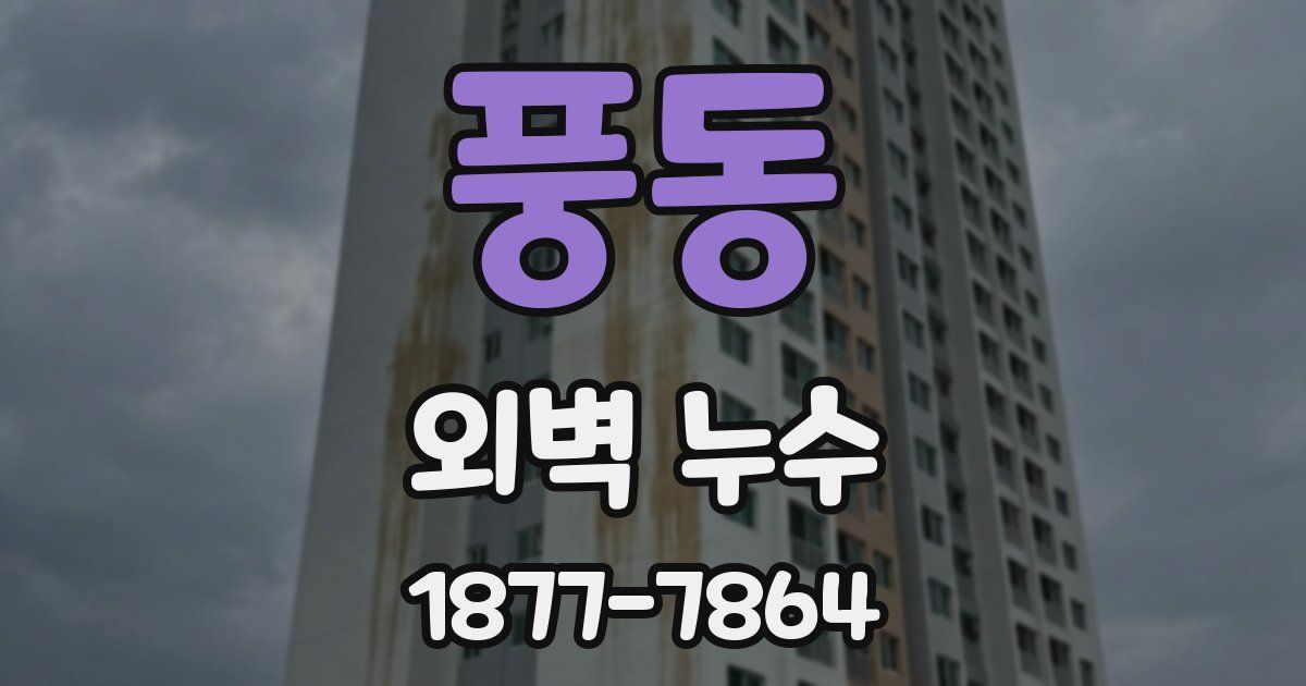 풍동 외벽 누수