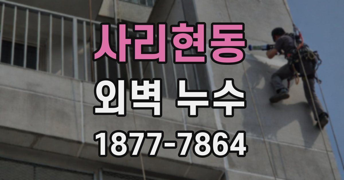 사리현동 외벽 누수