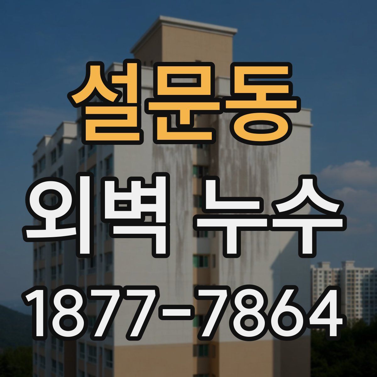 설문동 외벽 누수