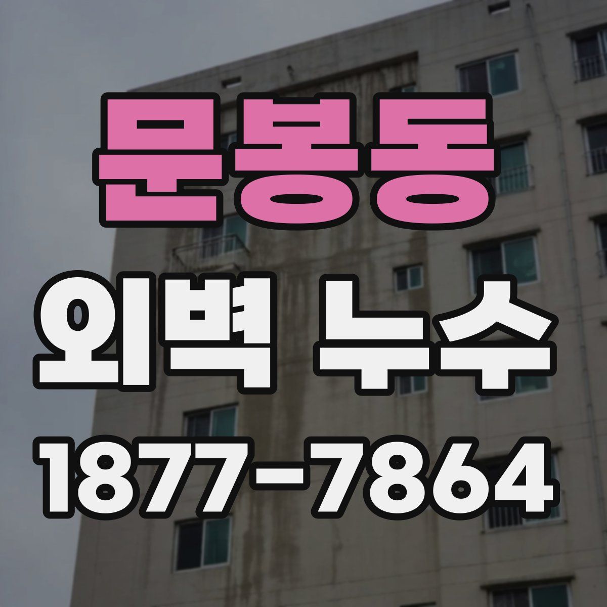 문봉동 외벽 누수