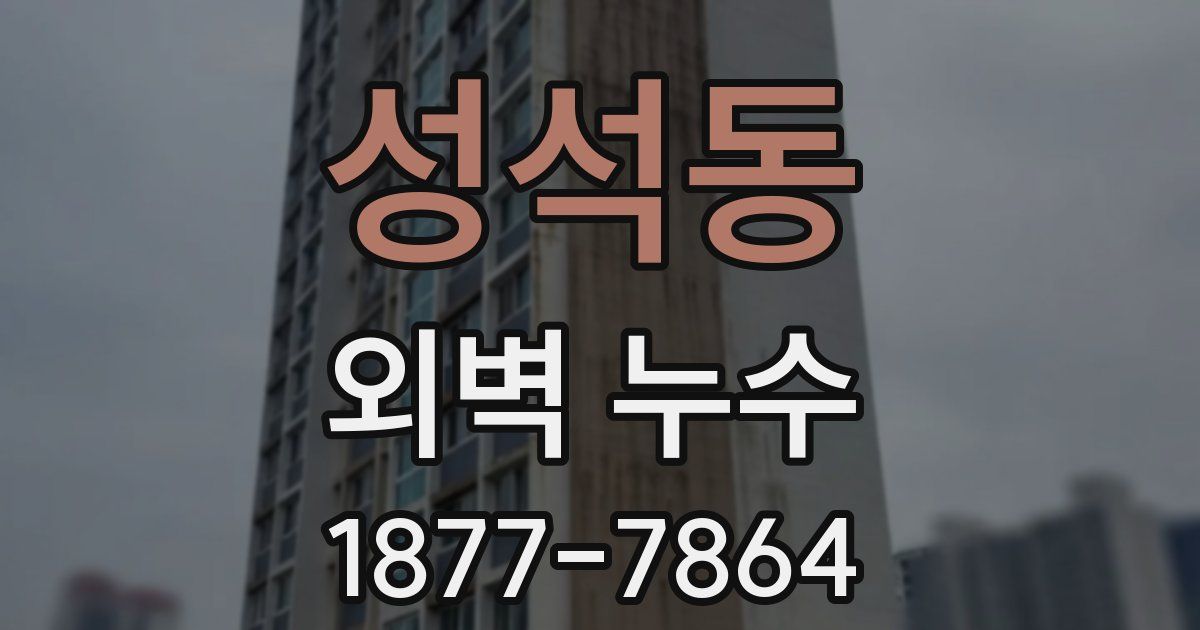 성석동 외벽 누수