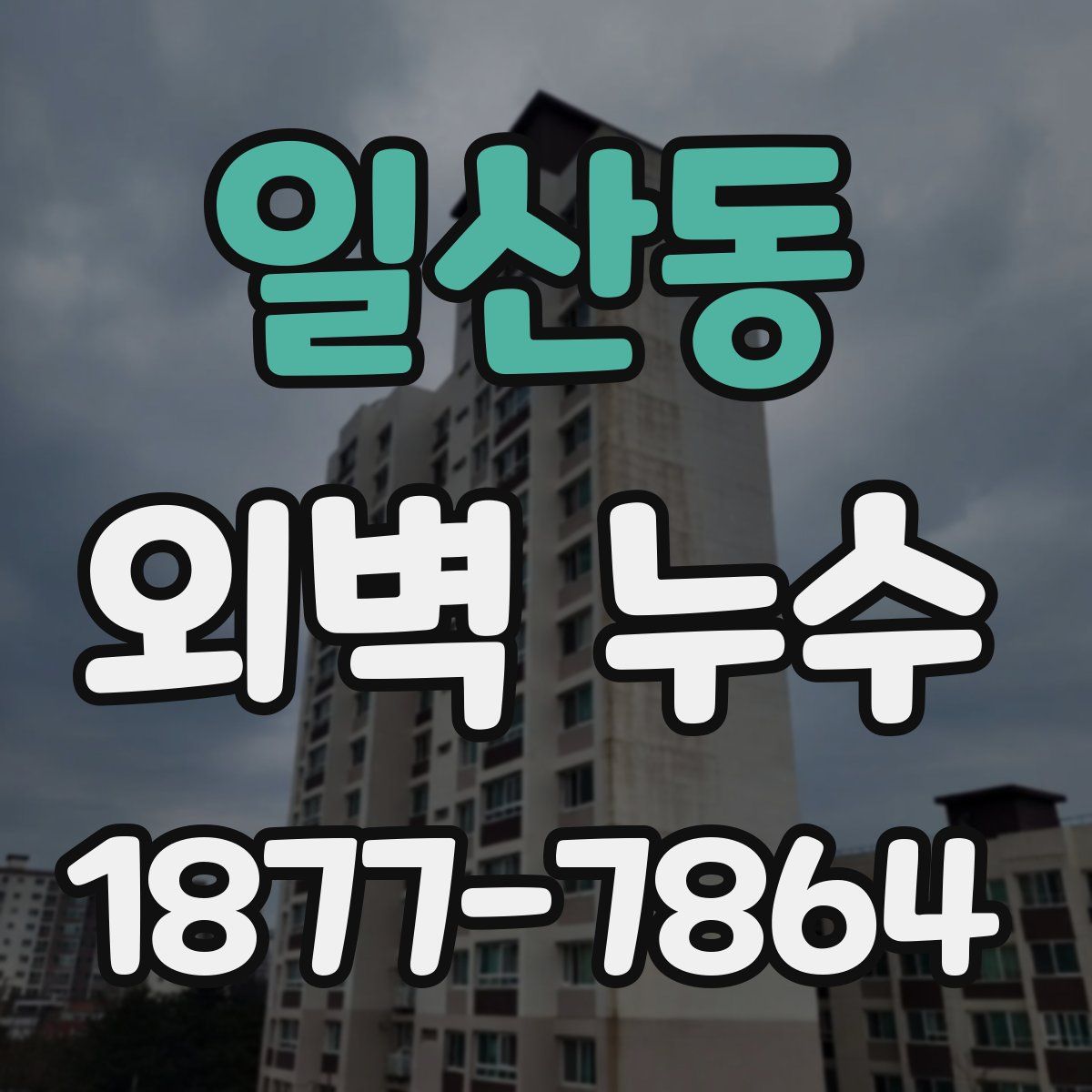 일산동 외벽 누수