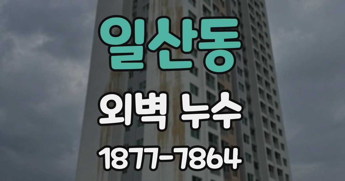 일산동 외벽 누수