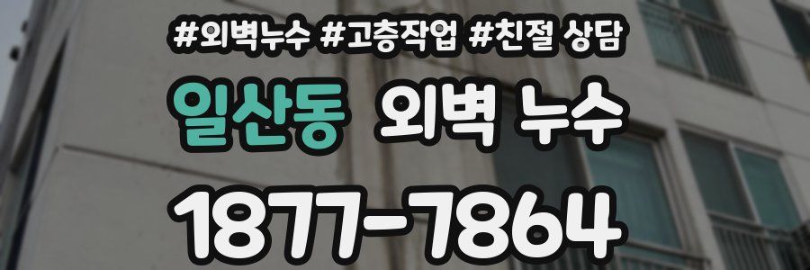 일산동 외벽 누수
