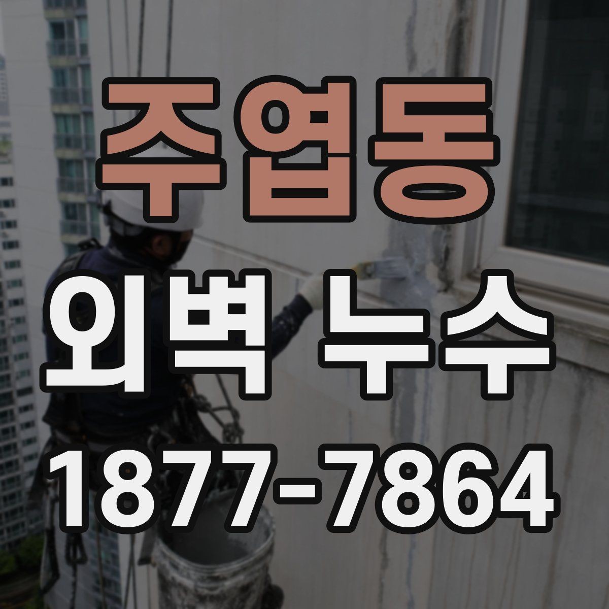 주엽동 외벽 누수 원인 조사 시 자주 하는 착오