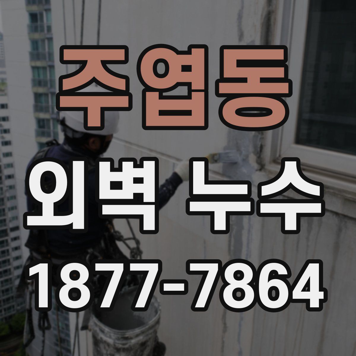 주엽동 외벽 누수