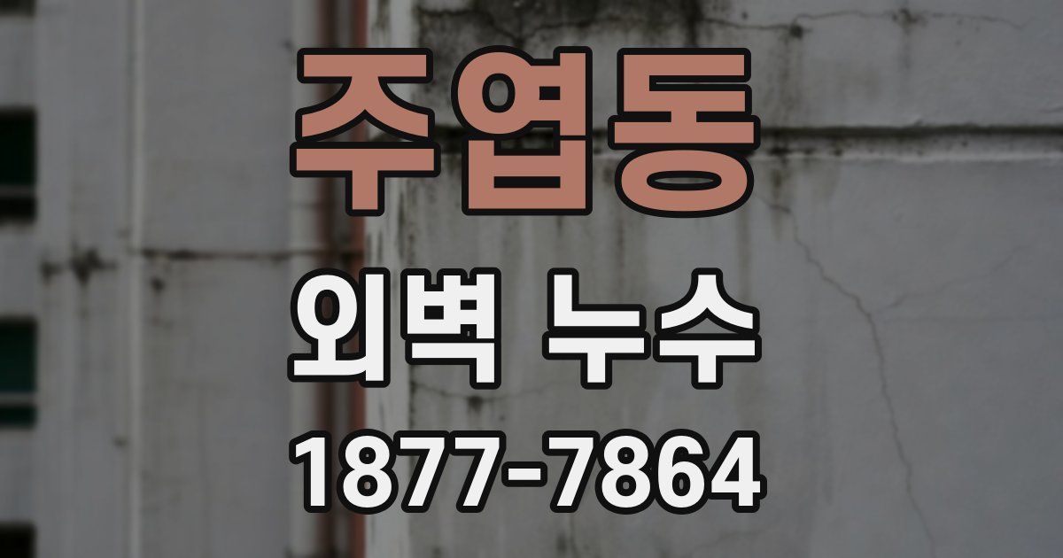 주엽동 외벽 누수