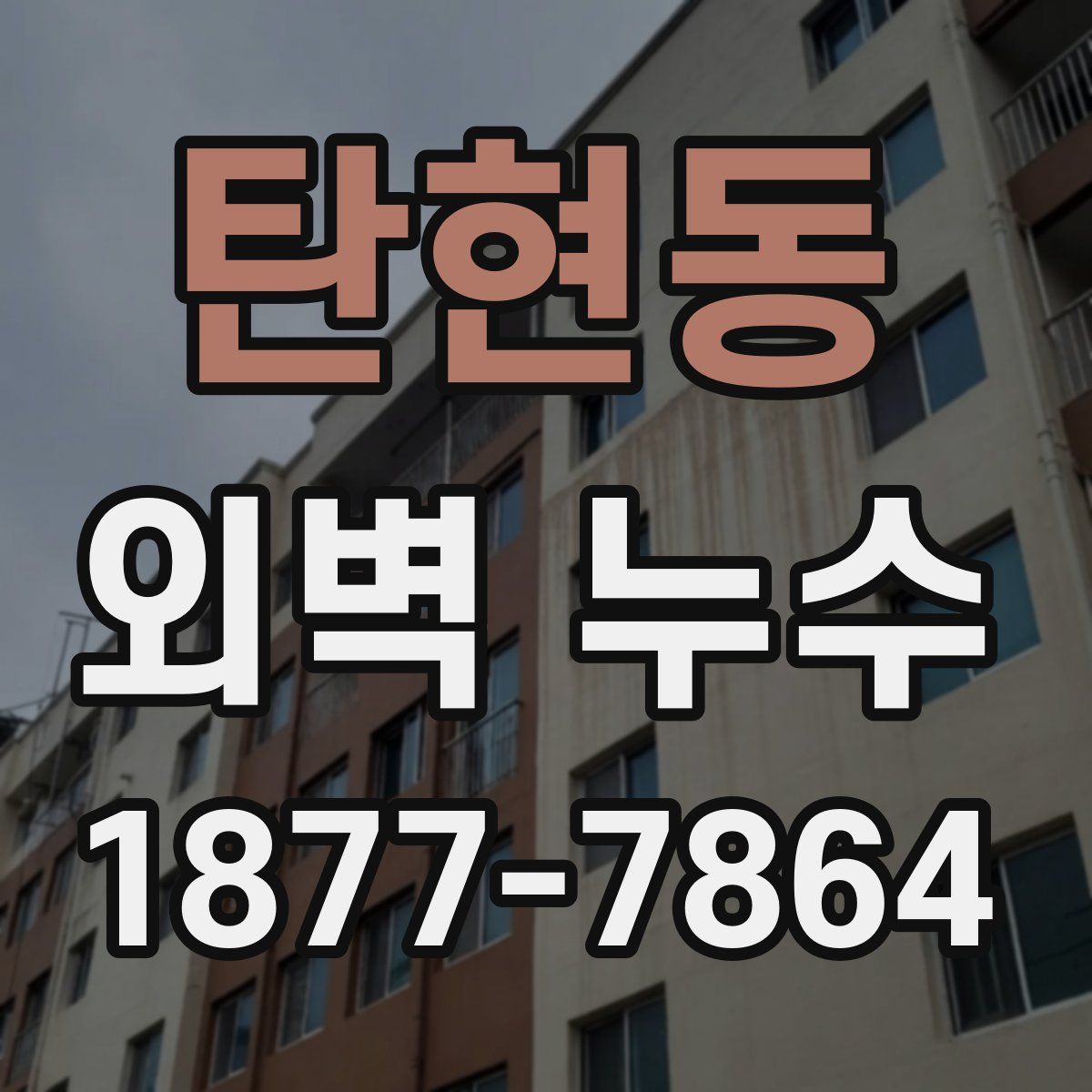 탄현동 외벽 누수